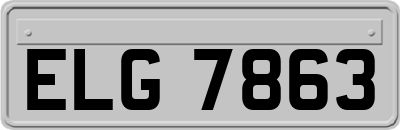 ELG7863