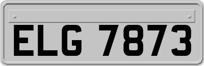 ELG7873