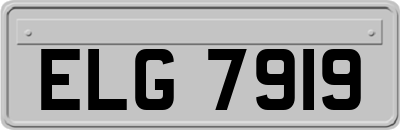 ELG7919
