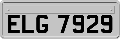 ELG7929