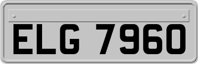 ELG7960