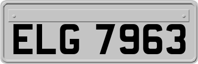 ELG7963