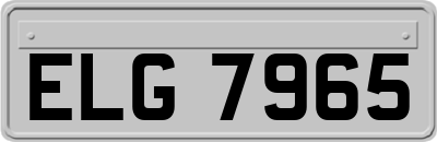 ELG7965