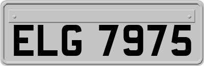 ELG7975