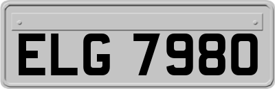 ELG7980