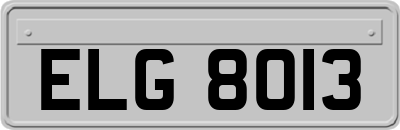 ELG8013