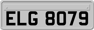 ELG8079