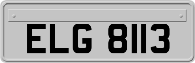 ELG8113