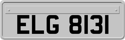 ELG8131