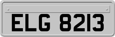 ELG8213