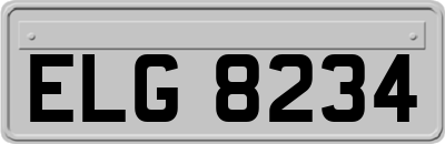 ELG8234