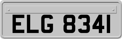 ELG8341