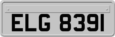 ELG8391