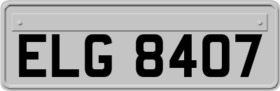 ELG8407