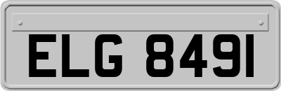 ELG8491