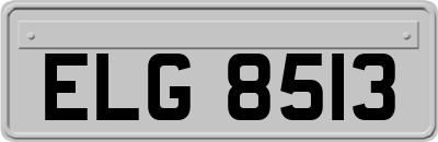 ELG8513