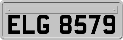 ELG8579