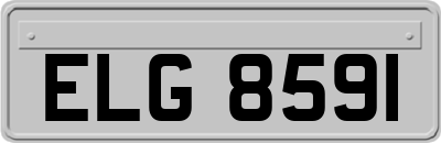 ELG8591