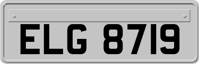 ELG8719
