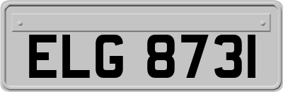 ELG8731