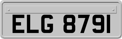 ELG8791