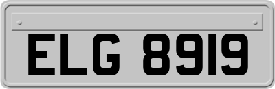 ELG8919