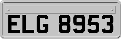ELG8953