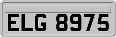 ELG8975