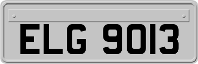 ELG9013