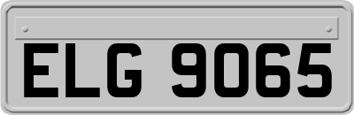 ELG9065