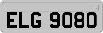 ELG9080