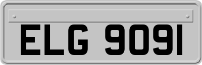 ELG9091