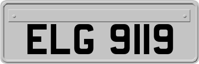 ELG9119