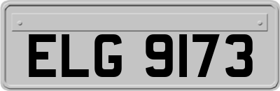 ELG9173