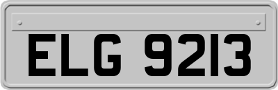 ELG9213