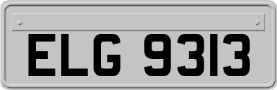 ELG9313
