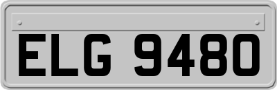 ELG9480