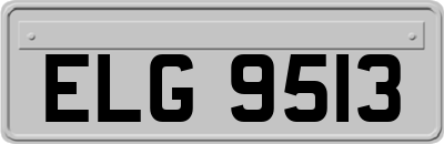 ELG9513