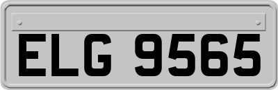 ELG9565