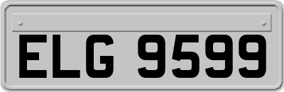 ELG9599