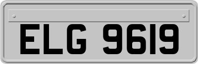ELG9619