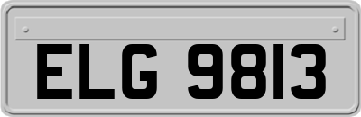 ELG9813