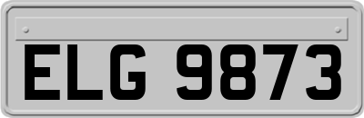 ELG9873
