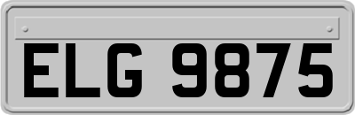 ELG9875