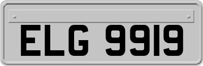 ELG9919