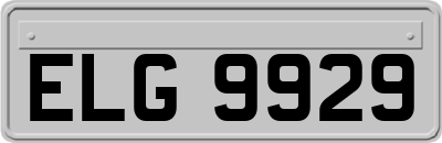 ELG9929