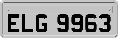 ELG9963