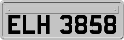 ELH3858