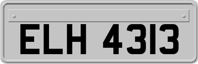 ELH4313