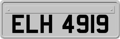 ELH4919